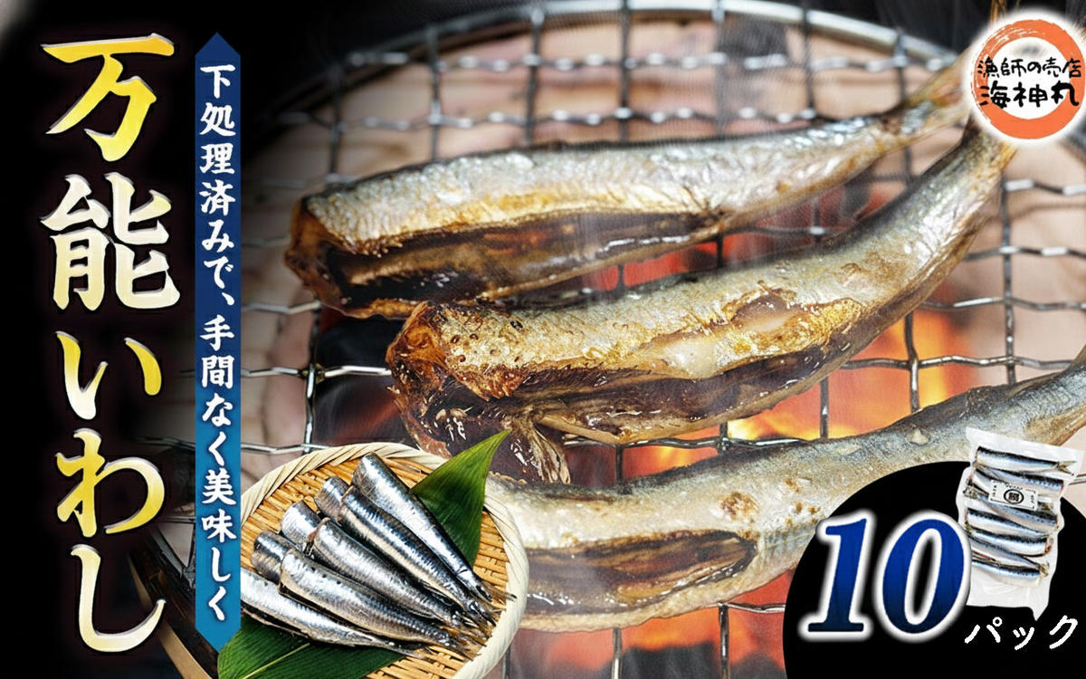 万能いわし 8匹 (約160g～180g) × 10袋 下処理済み