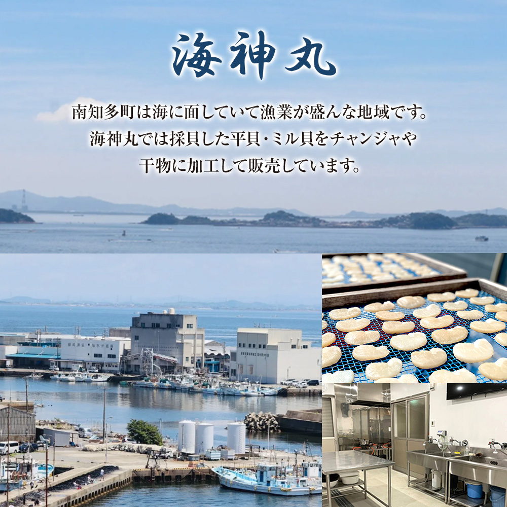 万能いわし 8匹 (約160g～180g) × 10袋 下処理済み