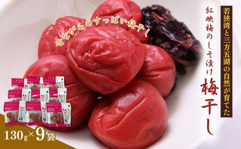 y䌧ዷzgf~̂Ђ ~@9܁iς ÂȂ ~j