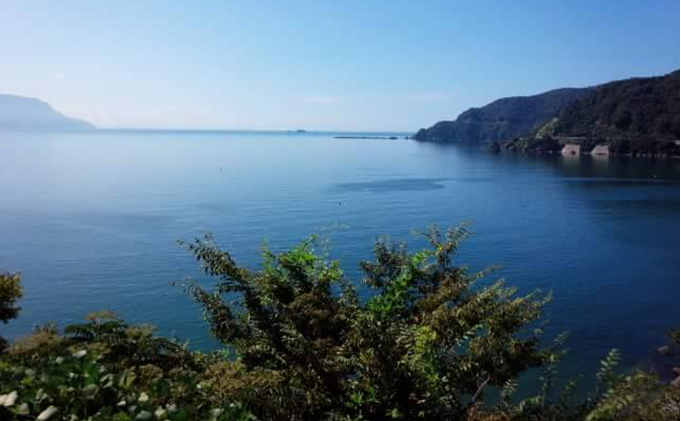 栽培期間農薬不使用 の梅干し（400g）すっぱい 甘くない 梅干し 壷型容器入り うめぼし 