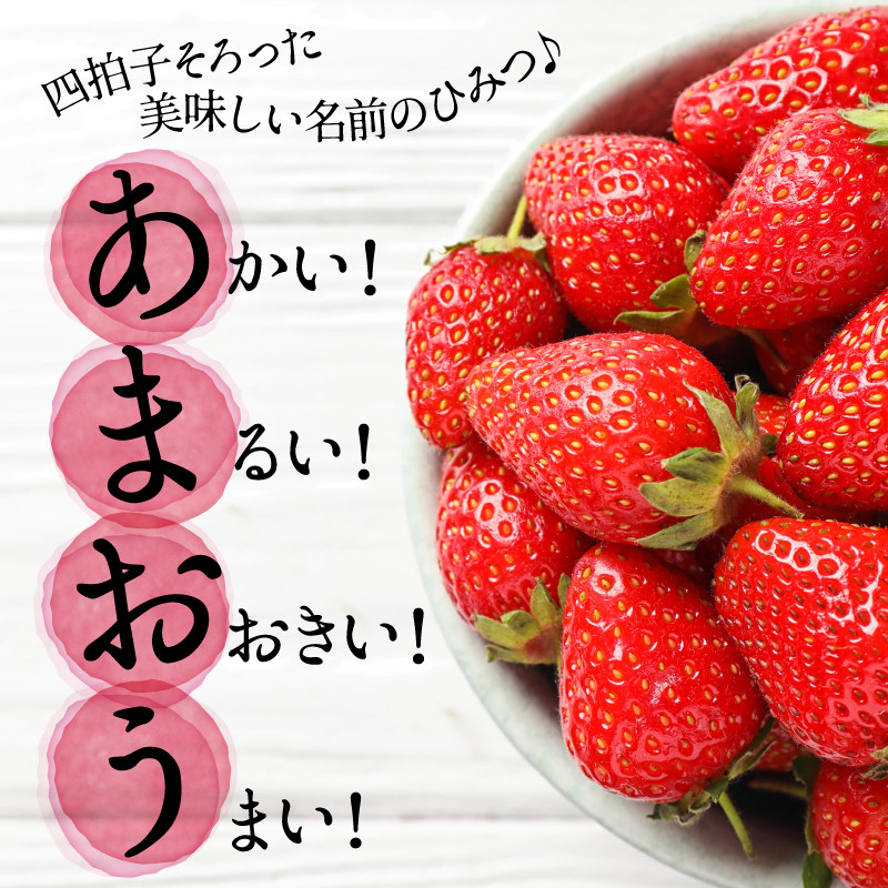 福岡県新宮町のふるさと納税 人気１位獲得謝礼品★限定品★あまおう約１，０８０g（先行受付／２０２６年３月以降発送）.A1609【あまおう】