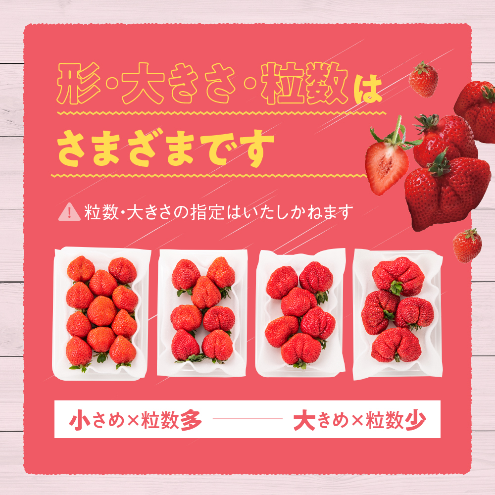 福岡県新宮町のふるさと納税 人気No.１獲得謝礼品★限定品★あまおう約１，０８０g（先行受付／２０２６年１月以降発送）.AB378