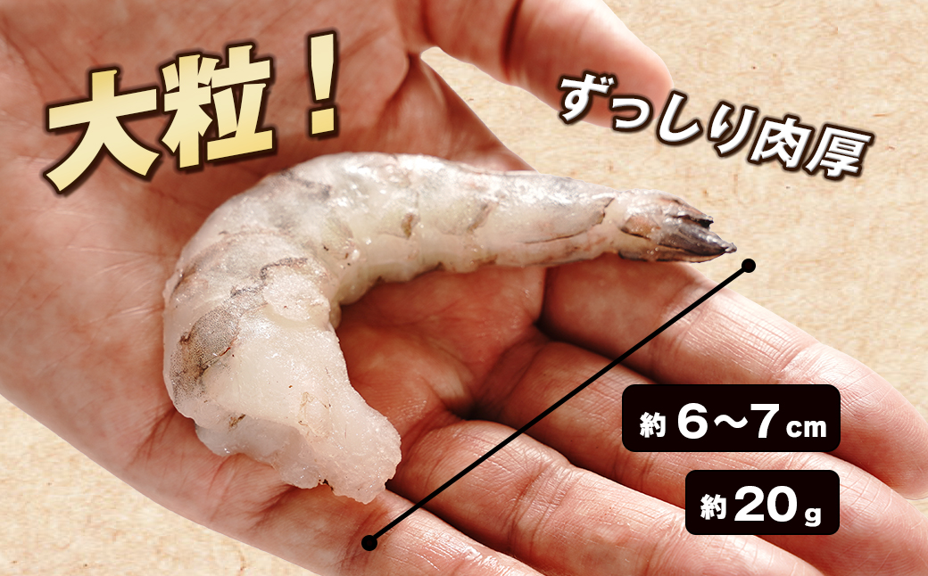至福の大粒 むきえび　背ワタ処理済 1kg【2026年2月より順次発送】　ブラックタイガー むきえび  冷凍 大型 海老