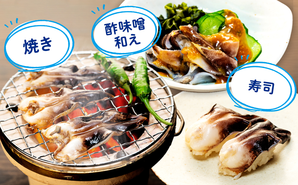 【天然】肉厚とり貝お刺身 とり貝【大９枚入り】５セット 岬だより