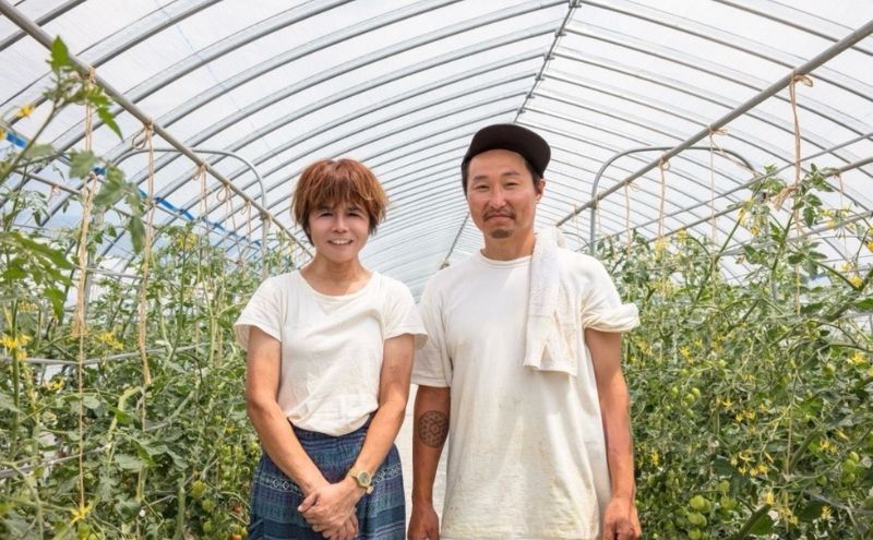 富良野産 ミニトマト (赤) 約3kg (阿部農園) トマト ミニトマト 野菜 新鮮 農家直送 北海道 富良野市