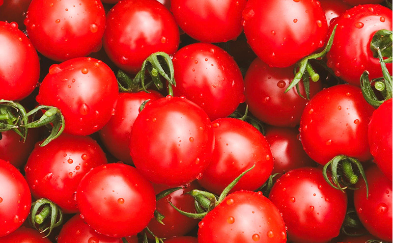 富良野産 ミニトマト (赤・黄) 詰め合わせ 約3kg (阿部農園) トマト ミニトマト 野菜 新鮮 農家直送 北海道 富良野市