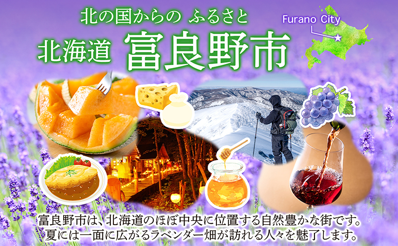 新富良野プリンスホテル 宿泊券 ダブルルーム  (ホテル 宿泊 素泊まり チケット 旅行 体験 トラベル リゾート 北海道 富良野市 ふらの)