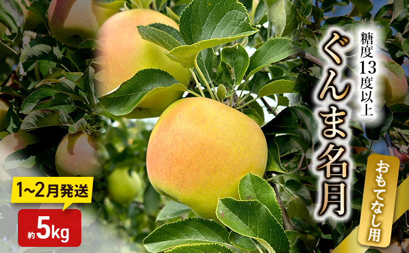 りんご【1～2月発送】糖度13度以上 ぐんま名月 おもてなし品  約5kg【青森りんご】