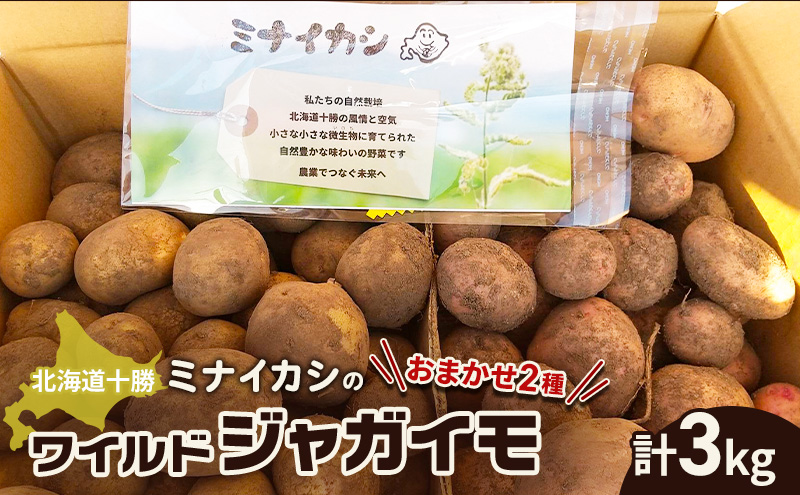 北海道十勝 ミナイカシのワイルドジャガイモおまかせ2種 計3kg [栽培期間中農薬不使用]自然栽培 じゃがいも[ 芋 いも ジャガイモ 野菜 食品 人気 産直 産地直送 北海道 幕別 ]