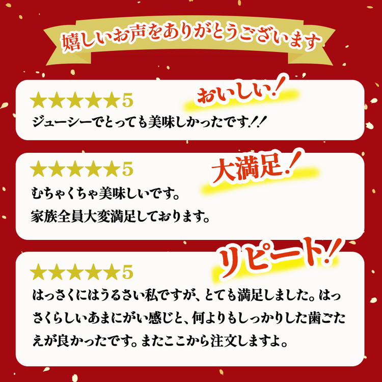 ＜1月より発送＞厳選 はっさく2.5kg+250g（傷み補償分） ｜ 八朔みかん ※北海道・沖縄・離島への配送不可 ※2026年1月上旬～3月下旬頃に順次発送予定 ◇