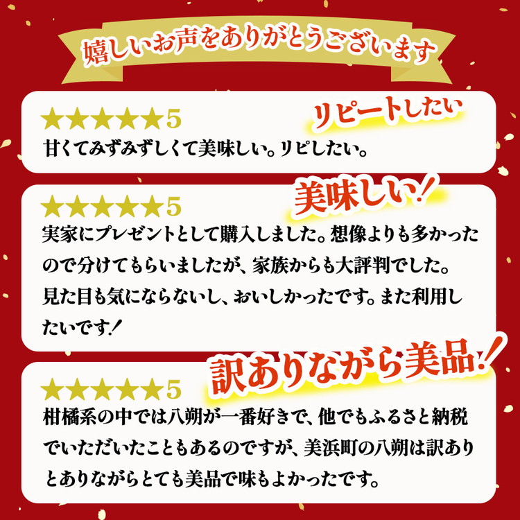 ＜1月より発送＞家庭用 はっさく10kg+250g（傷み補償分） ｜ 八朔みかん わけあり 訳あり ワケアリ ◇