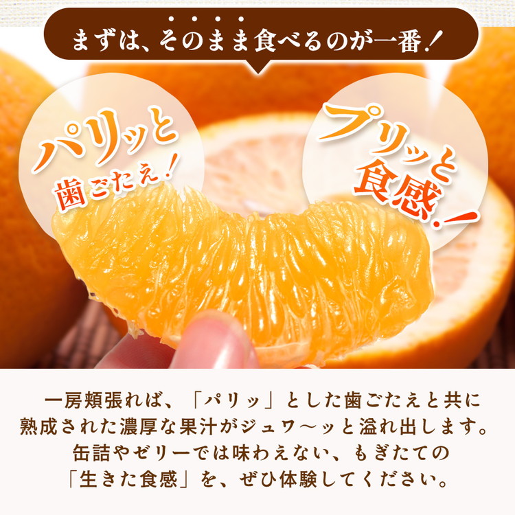 ＜1月より発送＞家庭用 はっさく10kg+250g（傷み補償分） ｜ 八朔みかん わけあり 訳あり ワケアリ ◇