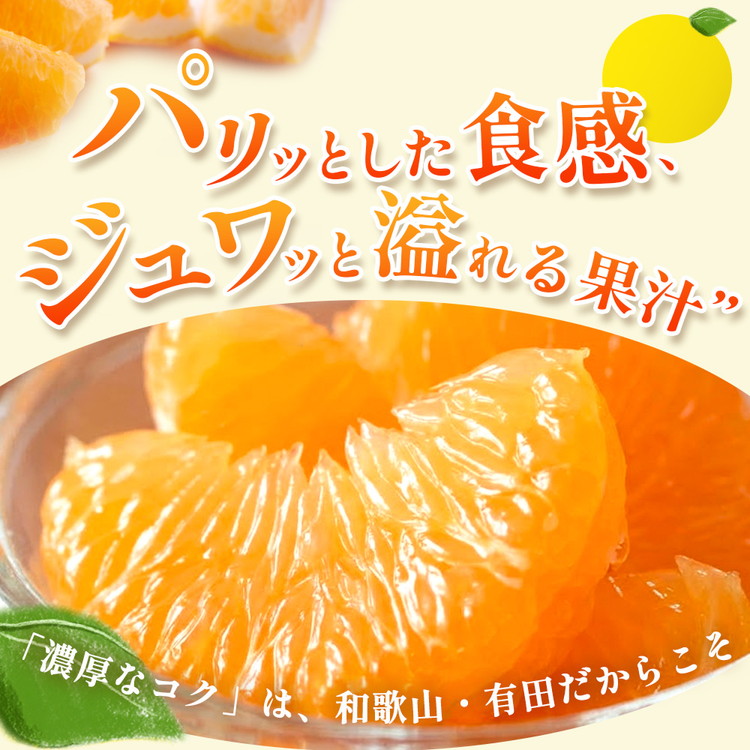 ＜4月より発送＞家庭用 樹上完熟はっさく2.5kg+250g（傷み補償分）有田の春みかん・五月八朔・さつきはっさく・木生りはっさく・きなりはっさく【光センサー選別】訳あり