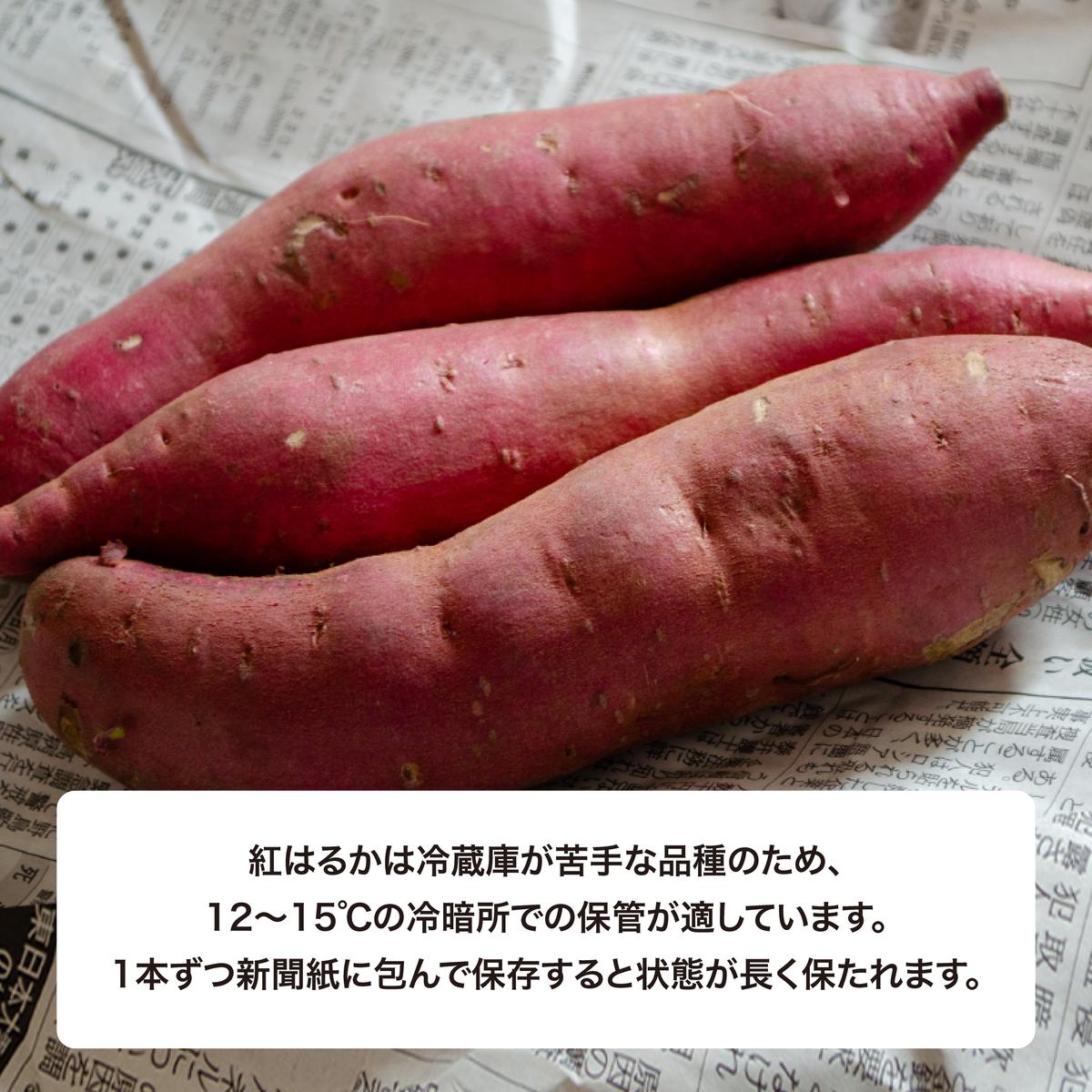 にかほ市 象潟町 大須郷産「 さつまいも 2ヶ月 熟成 紅はるか 不揃い 5kg 」【 産地直送 国産 芋 おいも 定番 焼き芋 イモ 野菜 不揃い 長期熟成 秋田県 にかほ】