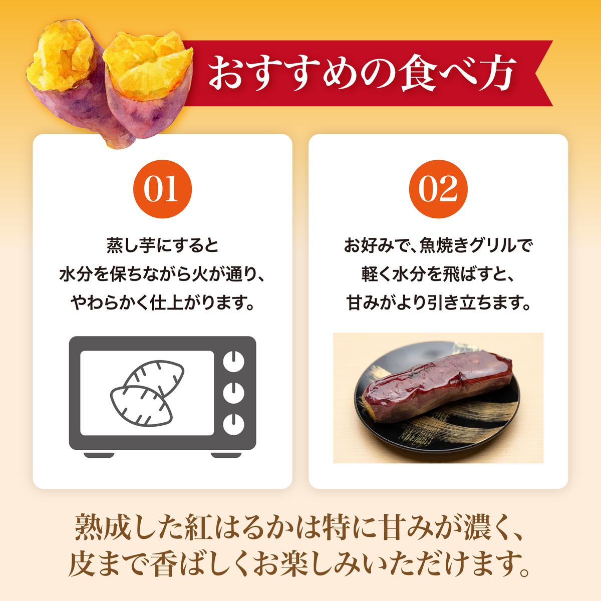 にかほ市 象潟町 大須郷産「 さつまいも 2ヶ月 熟成 紅はるか 不揃い 5kg 」【 産地直送 国産 芋 おいも 定番 焼き芋 イモ 野菜 不揃い 長期熟成 秋田県 にかほ】