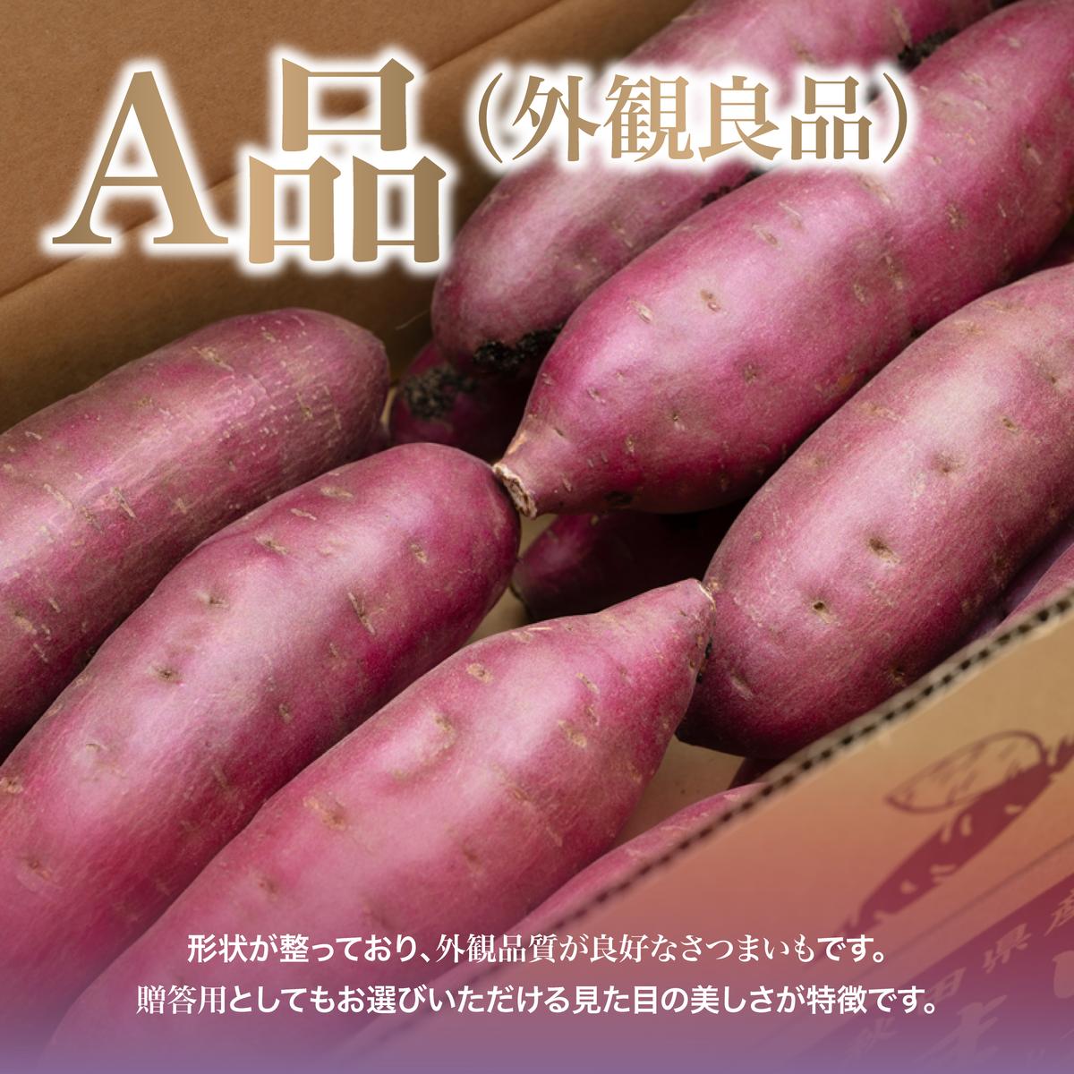にかほ市 象潟町 大須郷産「 さつまいも 2ヶ月 熟成 紅はるか 10kg 」【 産地直送 国産 芋 おいも 定番 焼き芋 イモ 野菜 長期熟成 秋田県 にかほ】