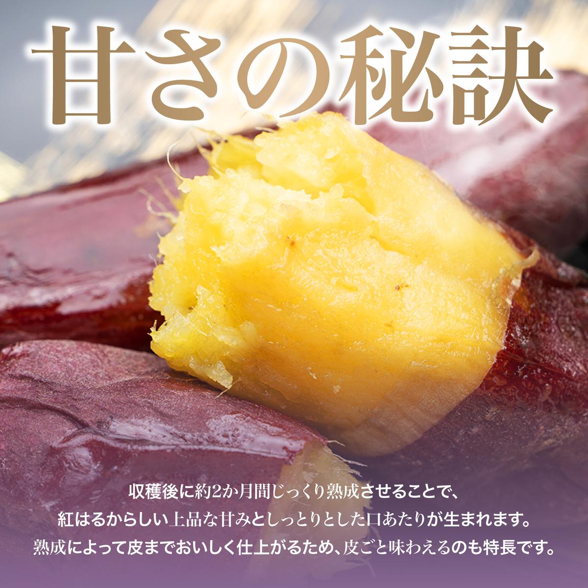 にかほ市 象潟町 大須郷産「 さつまいも 2ヶ月 熟成 紅はるか 不揃い 10kg 」【 産地直送 国産 芋 おいも 定番 焼き芋 イモ 野菜 不揃い 長期熟成 秋田県 にかほ】