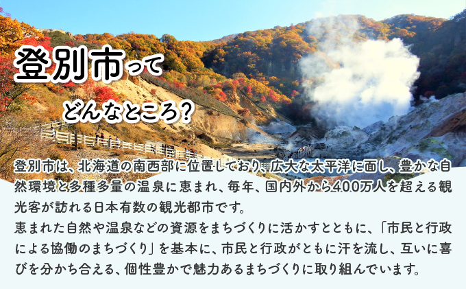 日本財団災害復興支援特別基金への寄附【災害支援】（返礼品なし）【MRI-AiD】【寄付額：10万円】