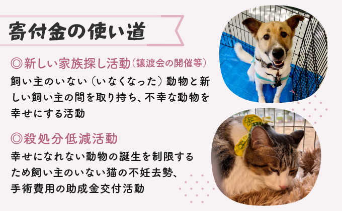 日本動物愛護協会殺処分低減活動への寄附【犬猫殺処分ゼロ】（返礼品なし）【MRI-AiD】【寄付額：50万円】