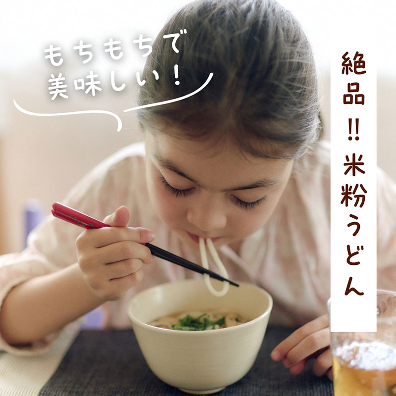 米粉うどん 10食セット　うどん 小麦粉不使用 グルテンフリー 冷凍 保存食 個包装 麺 京都府 南丹市