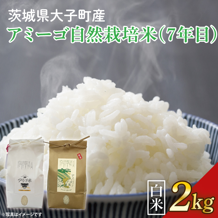 【先行予約】【2025年11月中旬頃順次発送予定】令和7年産 2kg アミーゴ米 【白米】（コシヒカリ・自然栽培米（７年目）・天日干し米）｜茨城県 大子町 袋田 米 精米 おだがけ米 はざがけ米 いねかけ米 先行予約 農福連携 コシヒカリ 白米（CA011）