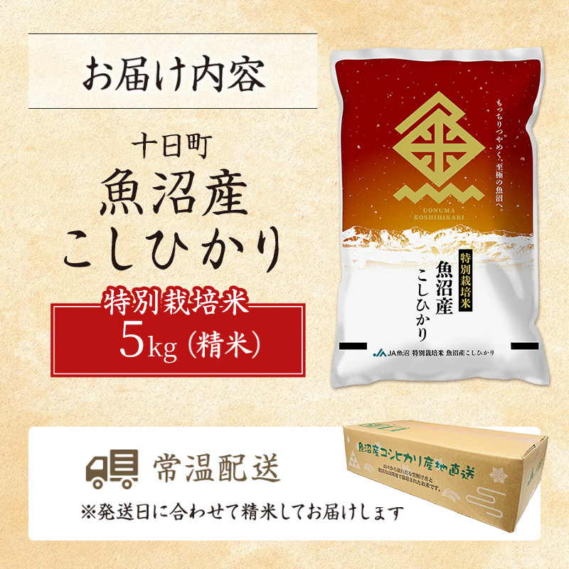【令和7年産米】特別栽培米 魚沼産こしひかり(十日町地域) 精米 5kg 2月配送 お米 精米 こめ ご飯 白米 特別栽培  旧：五郎兵衛