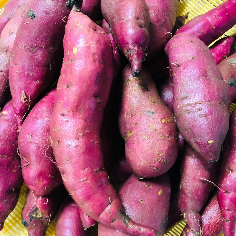 紅はるか 昔ながらの天日干し芋 300g(100g 3袋セット)　さつまいも 干しいも 芋 お菓子 京都府 南丹市