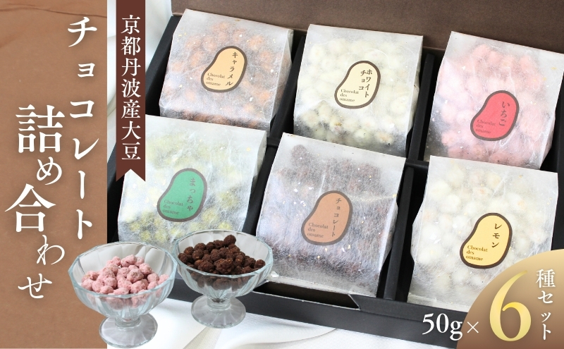 京都丹波産大豆 チョコレート 詰め合わせセット 50g×6種　チョコレート 丹波産 大豆 詰め合わせ セット 食べ比べ お菓子 スイーツ おやつ チョコレート菓子 贈り物 ギフト ご褒美 京都府 南丹市