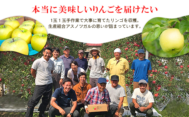 りんご【4月クール便発送】平均糖度13度以上 訳あり品 家庭用 CA貯蔵 シナノゴールド 約5kg【青森りんご 果物 フルーツ デザート 食後 青森県産 産地直送 贈り物】