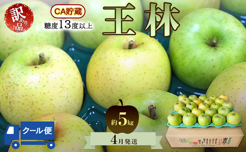 りんご【4月クール便発送】平均糖度13度以上 訳あり品 家庭用 CA貯蔵 王林 約5kg【青森りんご】フルーツ リンゴ 青森県 王林りんご 家庭用 ジューシー