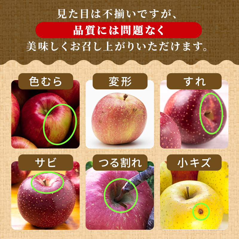 りんご【4月クール便発送】平均糖度13度以上 訳あり品 家庭用 CA貯蔵 王林 約5kg【青森りんご】フルーツ リンゴ 青森県 王林りんご 家庭用 ジューシー