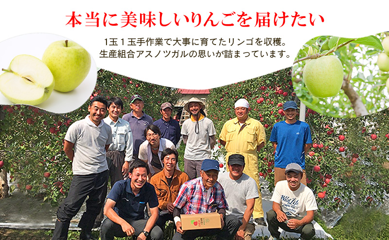 りんご【4月クール便発送】平均糖度13度以上 訳あり品 家庭用 CA貯蔵 王林 約5kg【青森りんご】フルーツ リンゴ 青森県 王林りんご 家庭用 ジューシー