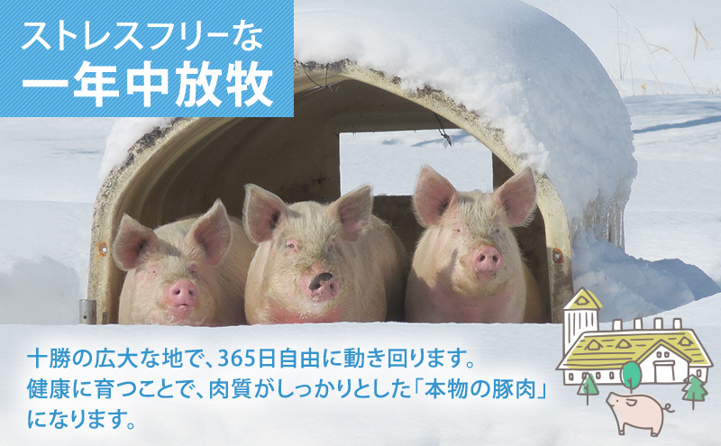 北海道十勝の放牧豚”遊ぶた”粗挽き1.2kg餃子・ハンバーグ用セット お肉 豚肉 粗挽き肉 餃子用 豚粗挽き肉 