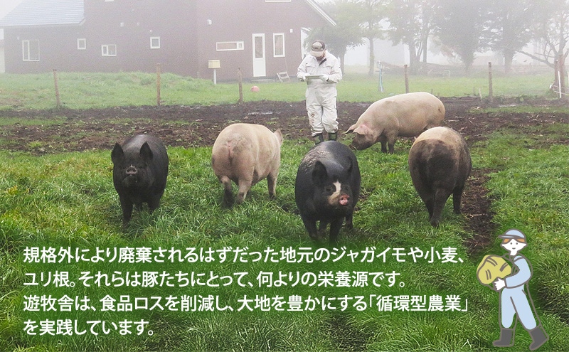 北海道十勝の放牧豚”遊ぶた”お手軽しゃぶしゃぶ800gセット お肉 豚肉 バラ スライス モモ ロース 詰め合わせ 