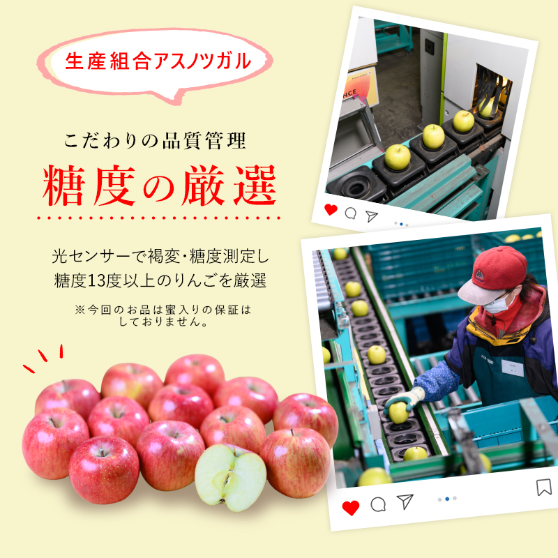 りんご 【1～2月順次発送】 糖度13度以上 訳あり品 家庭用 シナノスイート 約5kg【 青森りんご 】