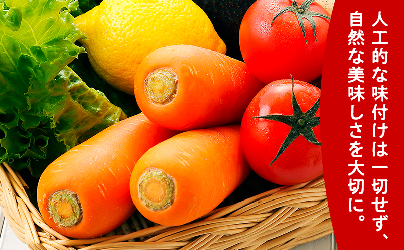 ふらの にんじん100・ふらのトマト100 食塩無添加 160g×各15本セット  (ジュース 野菜ジュース 飲み物 缶 北海道 送料無料 道産 富良野市 ふらの)