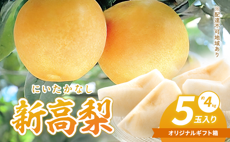 岡山県赤磐市のふるさと納税 梨 2025年 新高梨（にいたかなし）オリジナルギフト箱 5玉入り（約4kg）赤磐市赤坂産 なし フルーツ 果物