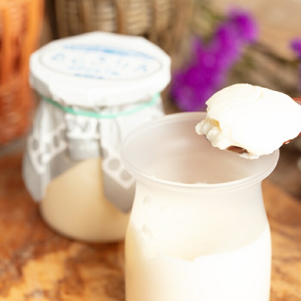 12-321 【ホワイトデー】焼きちぃずぷりん・濃厚な白いぷりん（各５個）