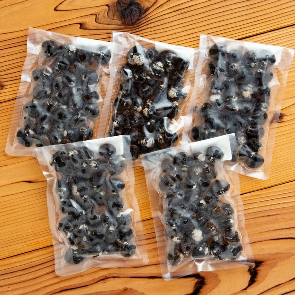 12-324 【ホワイトデー】冷凍砂出ししじみ　5袋セット