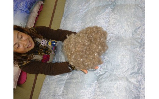 羽毛の宝石　アイダーダックダウン95%300g入り　羽毛肌布団「セーヌ」春夏用（ピンク）【CW53W】