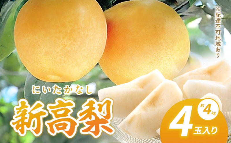 岡山県赤磐市のふるさと納税 梨 2025年 新高梨（にいたかなし）4玉入り(約4kg）赤磐市赤坂産 なし フルーツ 果物
