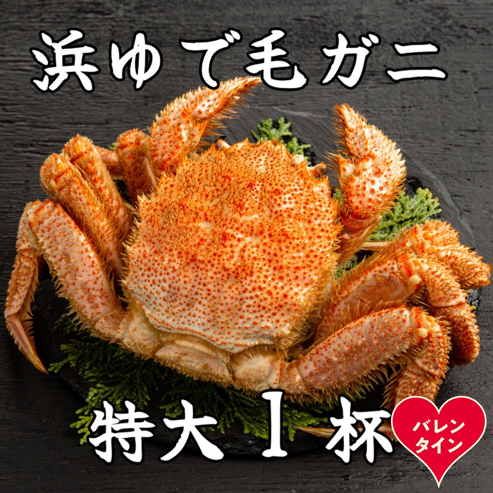 26-52 【バレンタインデー】流氷明け浜ゆで毛ガニ　特大1杯