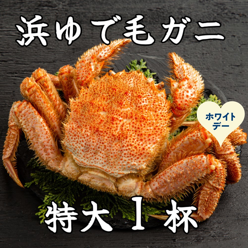 26-54 【ホワイトデー】流氷明け浜ゆで毛ガニ　特大1杯