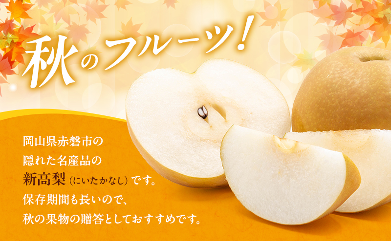 岡山県赤磐市のふるさと納税 梨 2025年 新高梨（にいたかなし）オリジナルギフト箱 5玉入り（約4kg）赤磐市赤坂産 なし フルーツ 果物