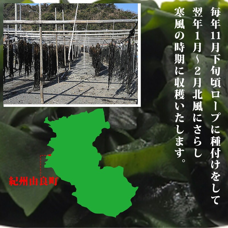BB6220_紀州衣奈産乾燥わかめ　150g×8パック(2026年産)