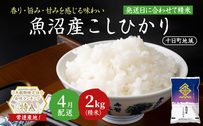 【令和7年産米】魚沼産こしひかり(十日町地域) 精米 2kg 4月配送 お米 精米 こめ ご飯 白米 旧：五郎兵衛