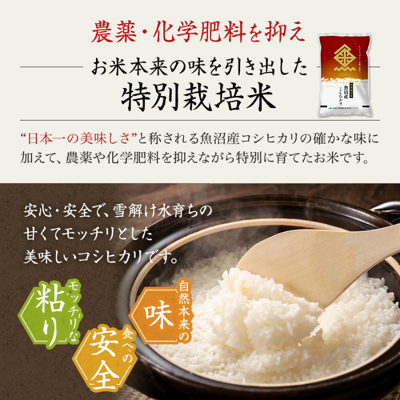 【令和7年産米】特別栽培米 魚沼産こしひかり(十日町地域) 精米 2kg 5月配送 お米 精米 こめ ご飯 白米 特別栽培  旧：五郎兵衛
