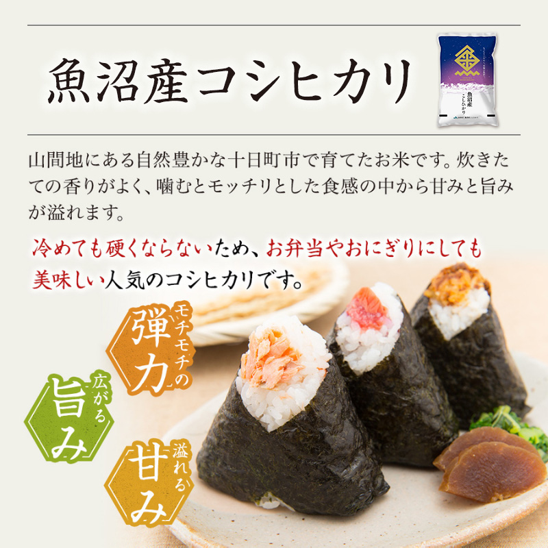令和7年産米】魚沼産こしひかり(十日町地域) 精米 10kg(5kg×2) 6月配送