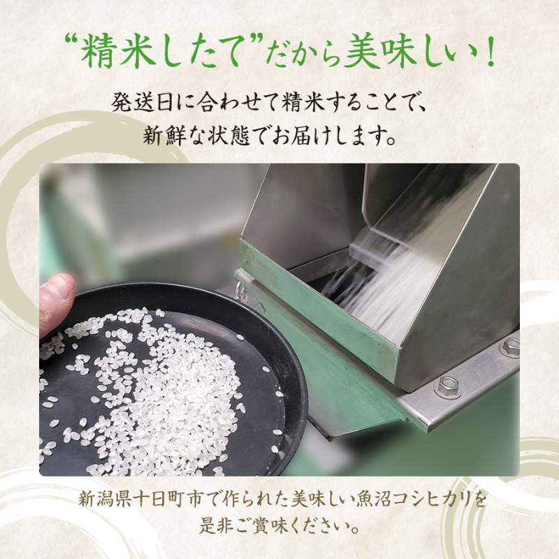 令和7年産米】魚沼産こしひかり(十日町地域) 精米 10kg(5kg×2) 6月配送