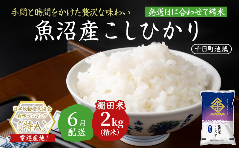【令和7年産米】魚沼産こしひかり 棚田米(十日町地域) 精米 2kg 6月配送 お米 精米 こめ ご飯 白米 旧：五郎兵衛